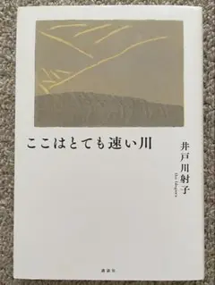 ここはとても速い川