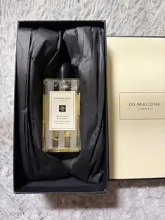 Item thumbnail for item f572c2ff-f7e0-4ecc-bb19-2e8317ad0137