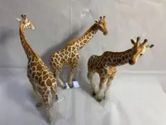 ミニチュアプラネット 動物インフィニティ