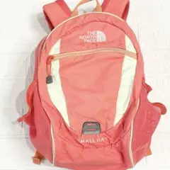 リュック　ノースフェイス　THE NORTH FACE スモールデイ ピンク