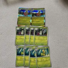 メガニウム　セット