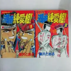 湘南純愛組！ 1巻・2巻セット