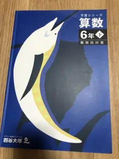 算数 6年下 難関校対策