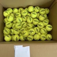 112個Dunlop Fort 使用済み公式テニスボール