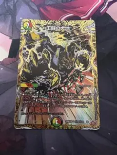 王闘の大地