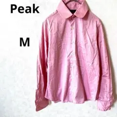 Item thumbnail for item 73512cd6-7768-4a6a-9661-74a5a00f1b38