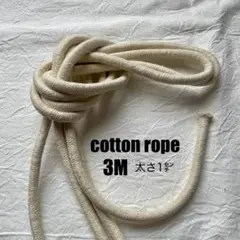 Item thumbnail for item b4061630-e4c3-4d33-83e7-6616c1d0cfa9