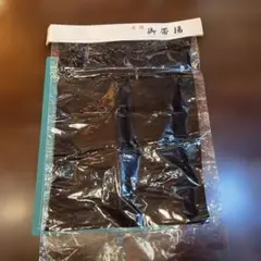 Item thumbnail for item bdf5bb09-9b8d-4641-911e-841dbd010fdc