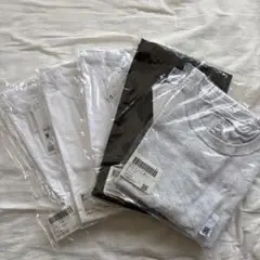 Champion Tシャツ Mサイズ 3色　５枚セット
