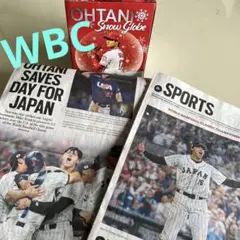 大谷翔平スノードーム OHTANI snow globe