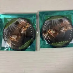 鬼滅の刃　ものがたる眼差しコレクション缶バッジB 不死川実弥　2個
