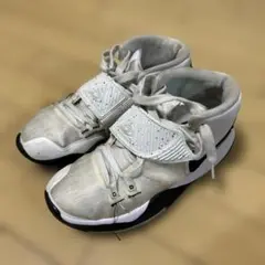 Item thumbnail for item 25b329d7-fcdd-4c8c-836a-debdad291253