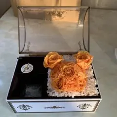 yn ディズニーランド　ホテル　オルゴール　630g