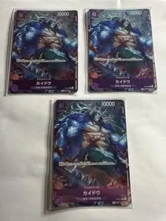 P-040 カイドウ3枚　在庫ラスト