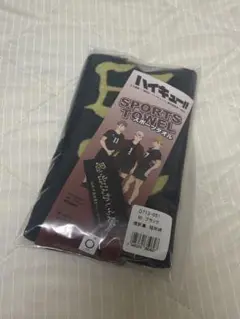 Item thumbnail for item f05d37b0-e31c-441e-94df-feccede34fff