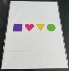 NEWS 2013 パンフレット　ライブグッズ