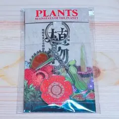 国立科学博物館　植物展　トートバッグ　ラフレシア　マグネット　ウツボカズラ 国立科学博物館 植物展 トートバッグ ラフレシア マグネット