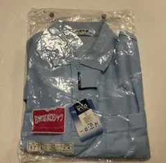 Item thumbnail for item 87f7f9de-b252-4605-902b-248c28579e03