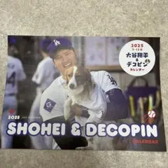 美品　大谷とデコピンのカレンダー