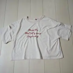 ストライプメッセージTシャツ Lサイズ