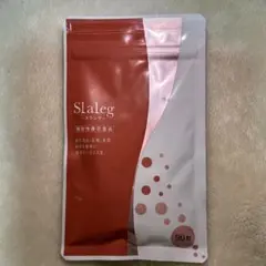 Slaleg(スラレグ)