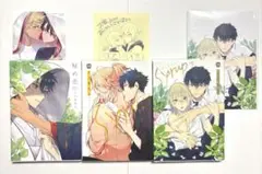 6点セット 秘め恋 シロップ 三ツ矢凡人