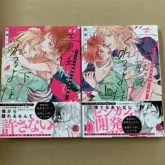 責任取ってくれるよな？〜イジワル幼馴染の異常な愛情〜上・下