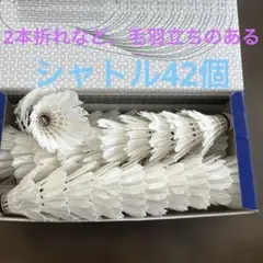 中古バドミントンシャトル 42個入り ホワイト