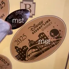 ディズニーリゾート スーベニアメダル リゾラ アクアスフィア ミラコスタ