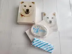 カイくん日和