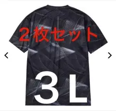 ２枚セット　ワークマン　氷撃冷感(R)-10℃半袖Tシャツ　ジオ黒　ジオグリーン