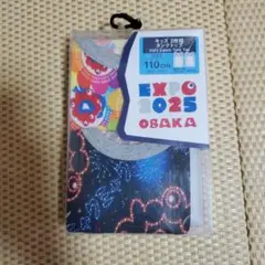 Item thumbnail for item d325dbcb-a25c-4116-ba69-610b302946df