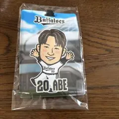 Item thumbnail for item 1d8bba36-cc4d-4c06-83e3-01fde1e8fd22
