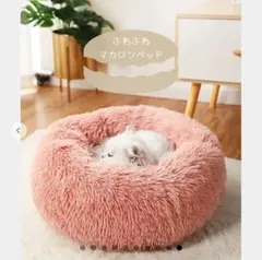 Item thumbnail for item d6f917d9-2d0e-4038-9f0e-b63707a9bfe9