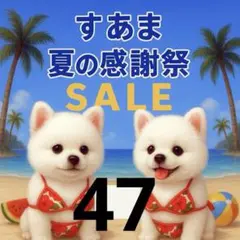 ✨夏の感謝祭セール✨パネル【Ｎｏ．47】
