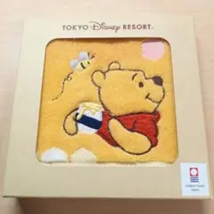 Item thumbnail for item 43dbb316-0e95-4e74-841a-5ef8317bf69c