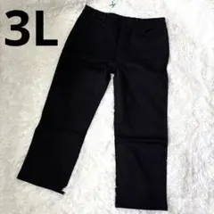 メンズ⭐️フリース　ズボン　パンツ　ブラック 3L