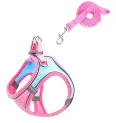 Item thumbnail for item 083a331e-756a-4b48-871a-a04a31aee920