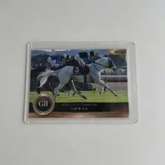 2025年最新】ハヤヤッコ カードの人気アイテム - メルカリ