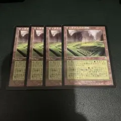 MTG ケンタウルスの庭園　4枚