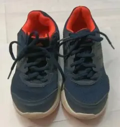 Item thumbnail for item 915cb04c-b4a1-4520-9f00-b0764f987d39