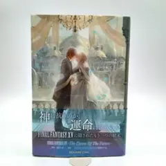 【オフィシャルショップ限定】FINAL FANTASY 15　小説 小説 FINAL FANTASY XV -The Dawn Of The Future- 』e-STOREにて