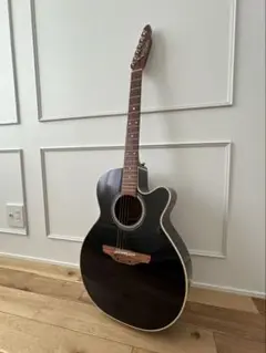 (美品:即日発送対応)タカミネギター赤プリアンプ(長渕剛)takamine 長渕ファン必見！伝説のJAPANモデル！Takamine NPT115-6 TN