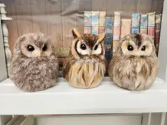 Aru Sohdarohさま　ご専用のページ