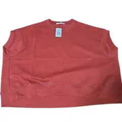 希少タグ付き　シェトワ　ラメ糸ステッチBACKコクーンTシャツ　オレンジ　ワイド