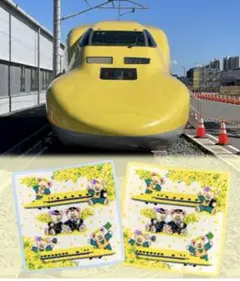 FEILER　フェイラー　ドクターイエロー　Dr.イエロー　ミモザ　2 枚セット
