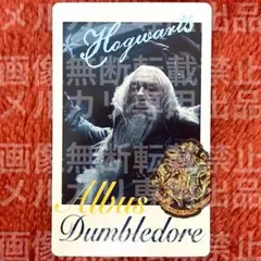 ② アルバス・ダンブルドア スナップマイド スナマイ ハリー・ポッター
