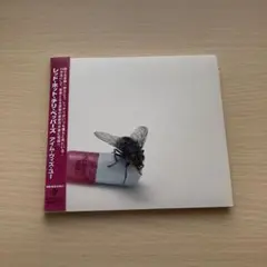 アイム・ウィズ・ユー