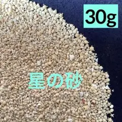 ② 星の砂30g以上