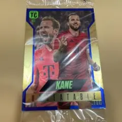 panini soccer HARRY KANE